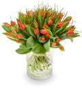 Bouquet of red tulips
